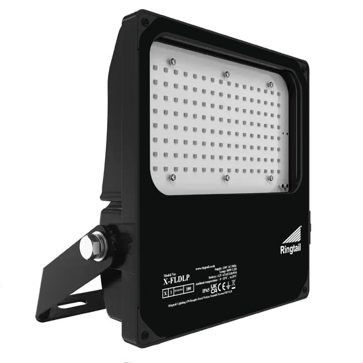 LED flood light with integral emergency backup